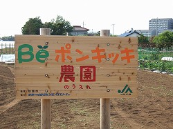 Be|LbL_
