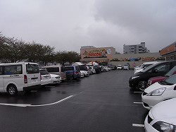 킭킭L@tj[^EX