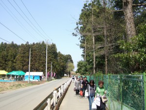 DSCF6664