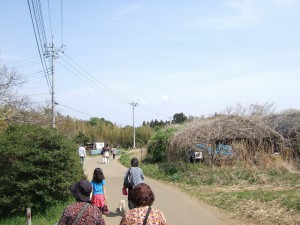 DSCF6665