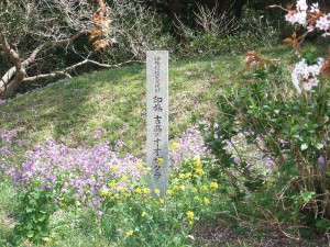 DSCF6683