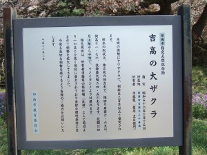 DSCF6684