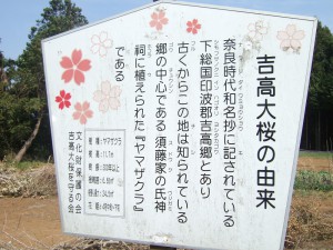 DSCF6688