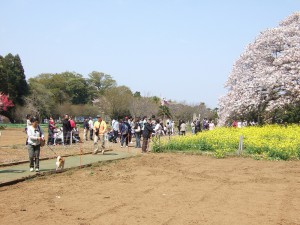 DSCF6698
