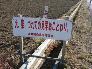 DSCF6414 DSCF6414