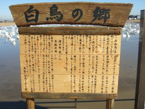 DSCF6423 DSCF6423