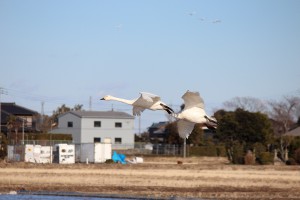 IMG_2273