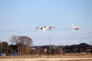 IMG_2280