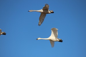 IMG_2316