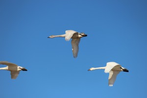 IMG_2317 IMG_2317