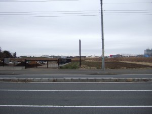 DSCF6517