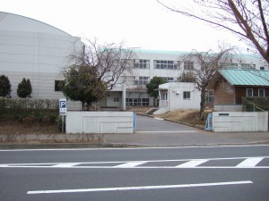 DSCF6519
