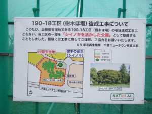 DSCF6520