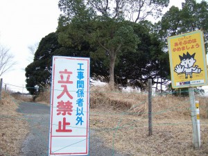 DSCF6522