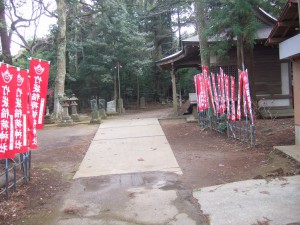 DSCF7611
