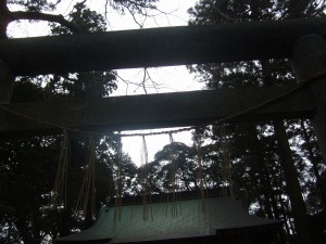 DSCF7615