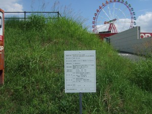 DSCF7893