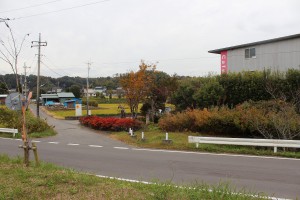 IMG_1408