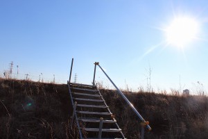IMG_2149